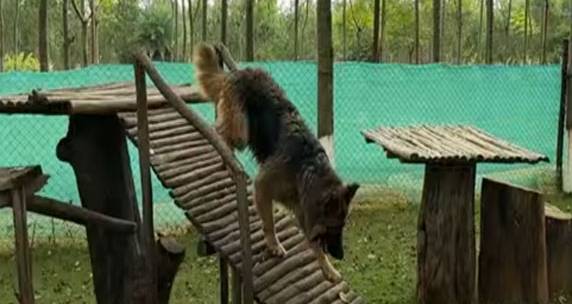 Socialization 101 at scentralpark in north banglore