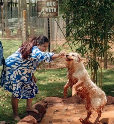 Happy dog playing in mud during dog outdoor activities with its family.