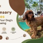 Best Sensory Activities