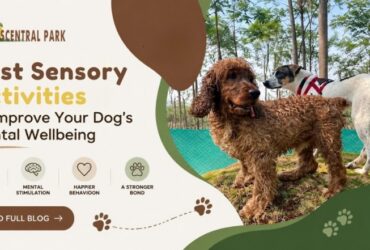 Best Sensory Activities