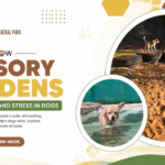 Sensory Gardens for Dogs to Reduce Anxiety