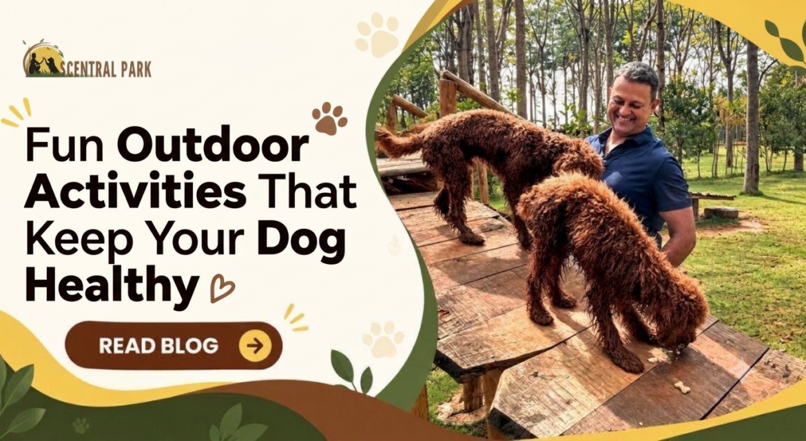 Fun Outdoor Activities
